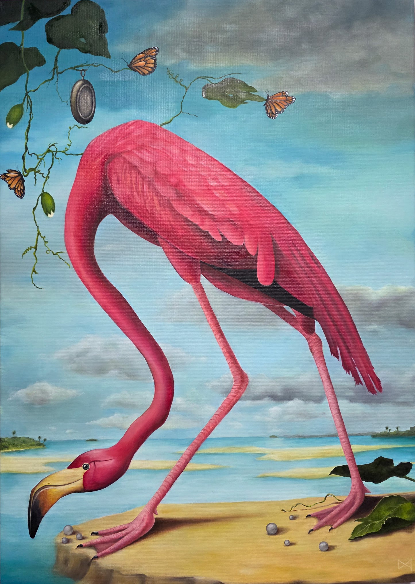 Flamingo