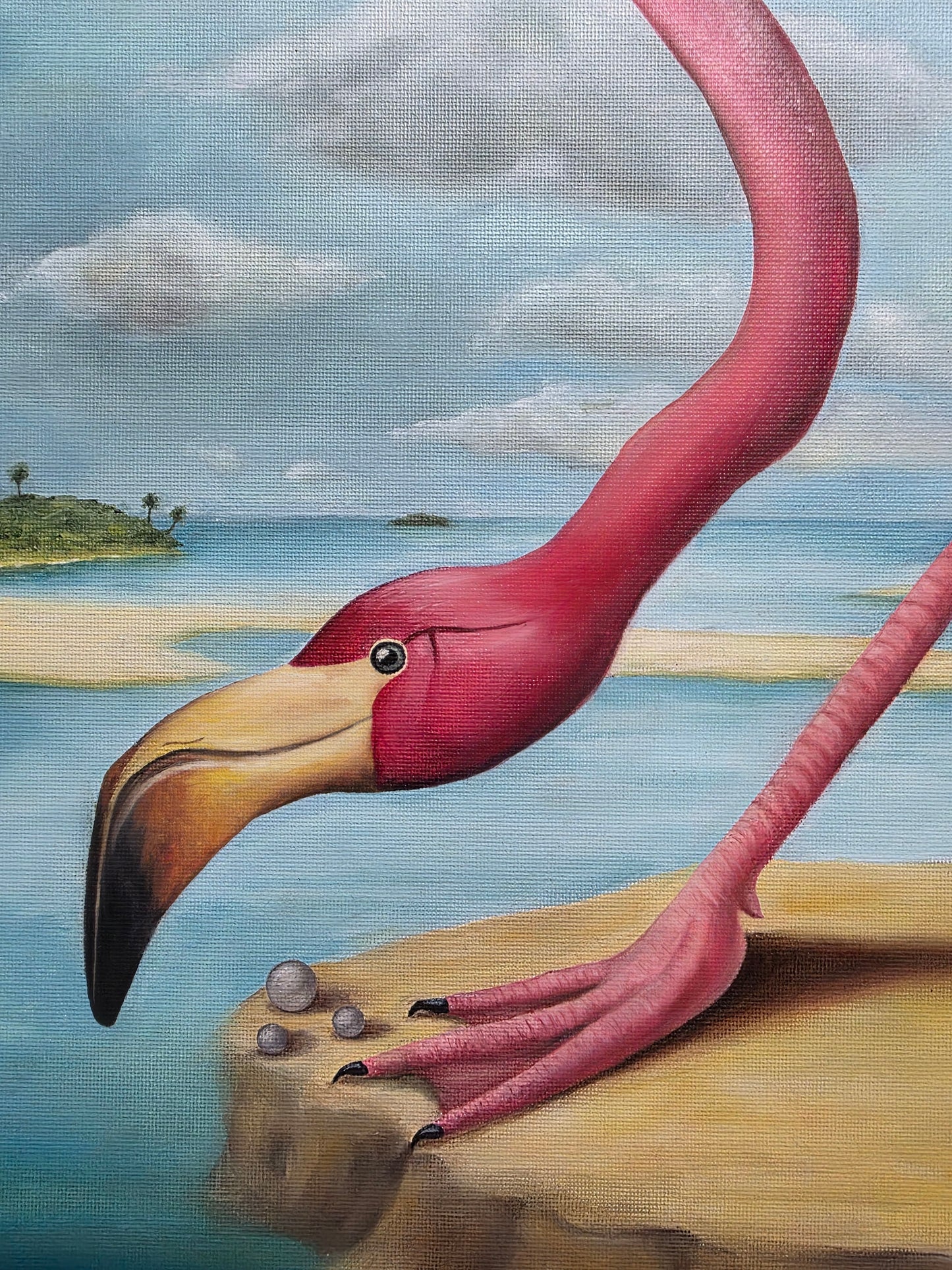 Flamingo