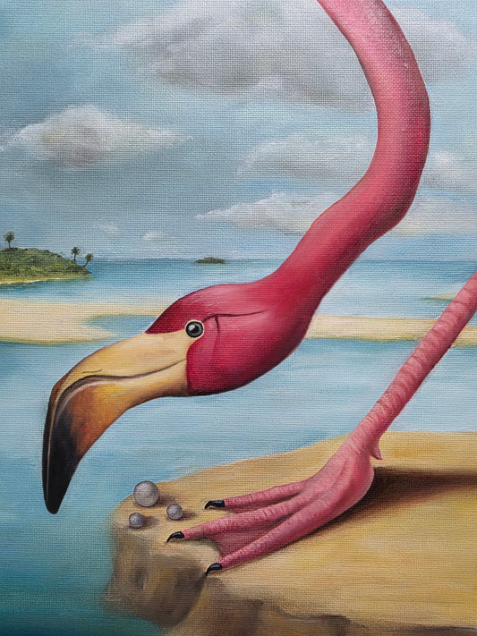 Flamingo
